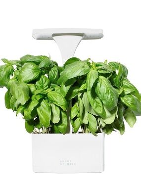 Short Stories LED Grow Light for Herbs/Indoor Plants